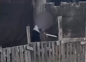 Idoso é preso após ser filmado agredindo cadela