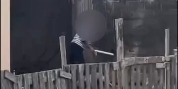 Idoso é preso após ser filmado agredindo cadela