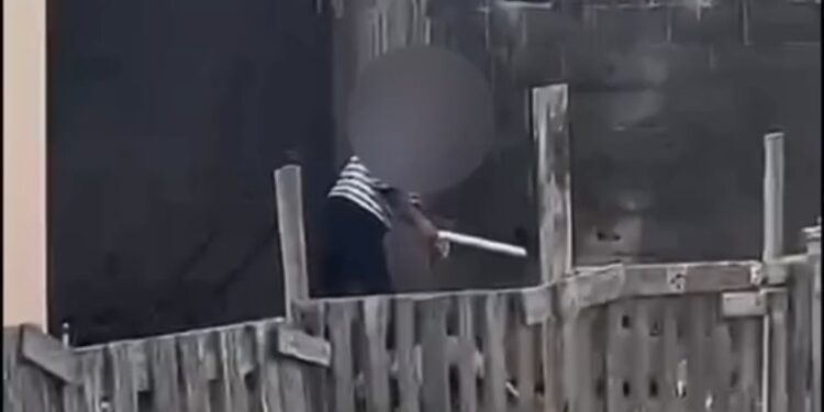 Idoso é preso após ser filmado agredindo cadela