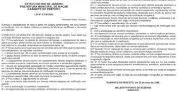 Virou lei: cães e gatos poderão ser sepultados em jazigos da família