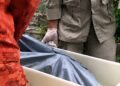 Mulher é encontrada morta dentro de casa e companheiro acaba detido