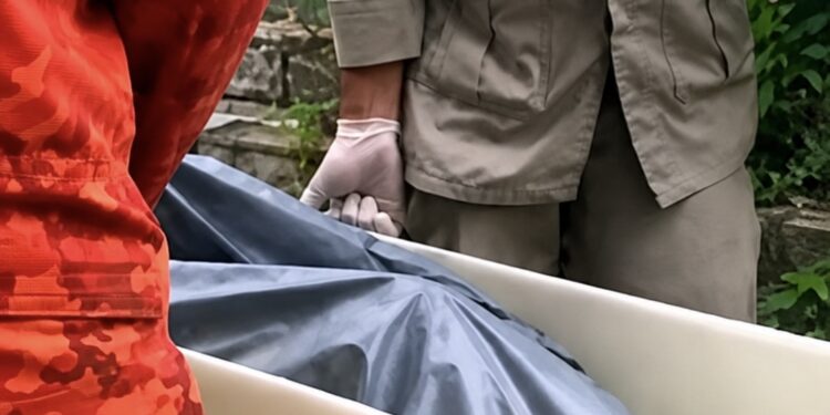 Mulher é encontrada morta dentro de casa e companheiro acaba detido