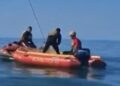 Baleia presa em rede de pesca mobiliza resgate e emociona moradores no litoral