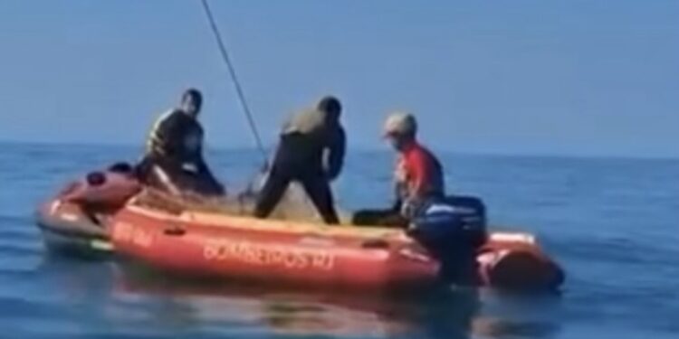 Baleia presa em rede de pesca mobiliza resgate e emociona moradores no litoral