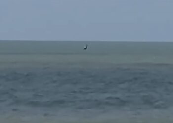 Baleias foram flagradas saltando próximo à Praia do Pecado, em Macaé, na manhã deste domingo