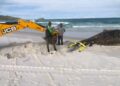 Baleia-jubarte encontrada morta em Arraial do Cabo é enterrada na Praia Grande
