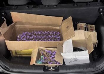 Polícia Civil prende mulher investigada por transportar carga de lança-perfume para o Comando Vermelho