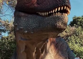 Fase final: Parque Ilha dos Dinossauros recebe últimos atrativos em Iguaba Grande