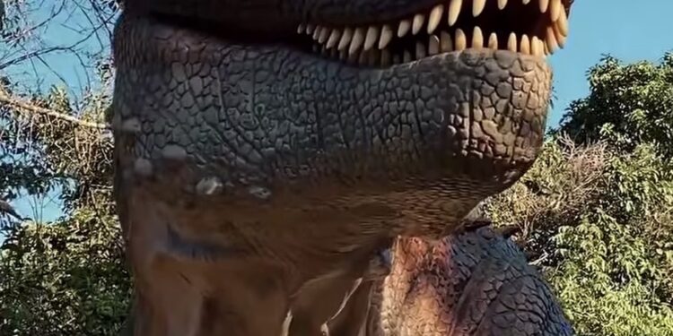 Fase final: Parque Ilha dos Dinossauros recebe últimos atrativos em Iguaba Grande