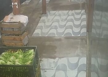 Homem é flagrado por câmeras furtando bananas deixadas em frente a comércio